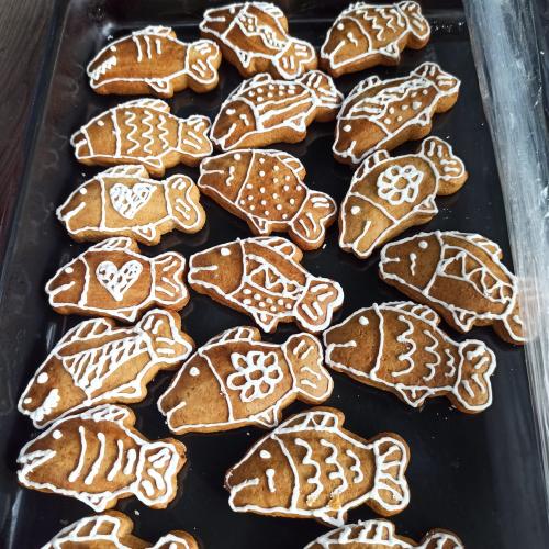 LACEMBOK, z.s. & majitel Kamenického rybníka & Obec Horní Kamenice: S dětmi na ryby  6. 9. 2025