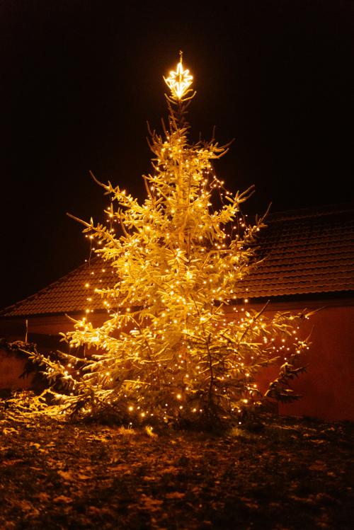 Rozsvícení vánočního stromku_03.12.2022