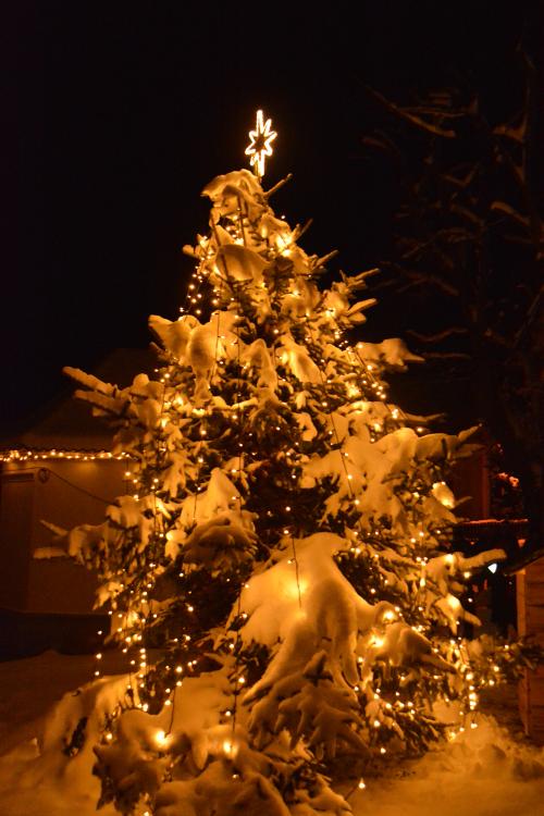 Rozsvícení vánočního stromu 3.12.2023