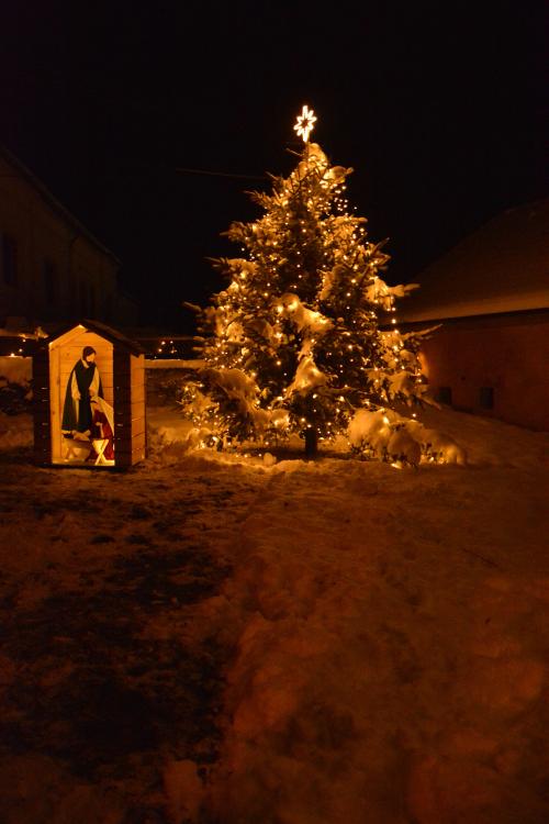 Rozsvícení vánočního stromu 3.12.2023